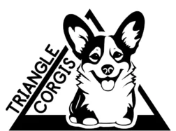 Triangle Corgis